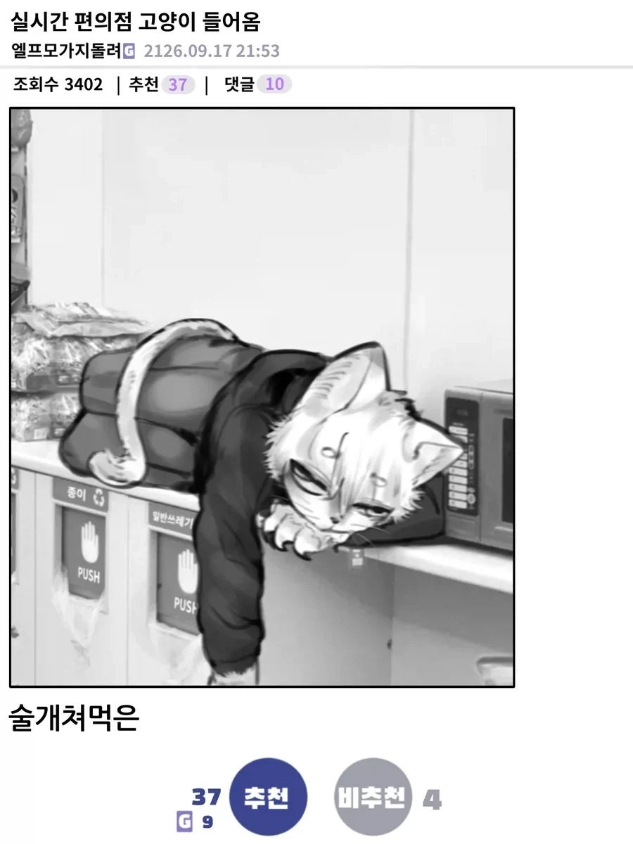 이세계 편돌이_11.webp