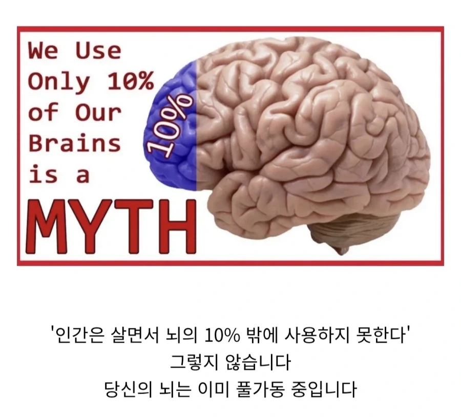 2008년 서울대 강연한 젠슨 황... 이미지 7