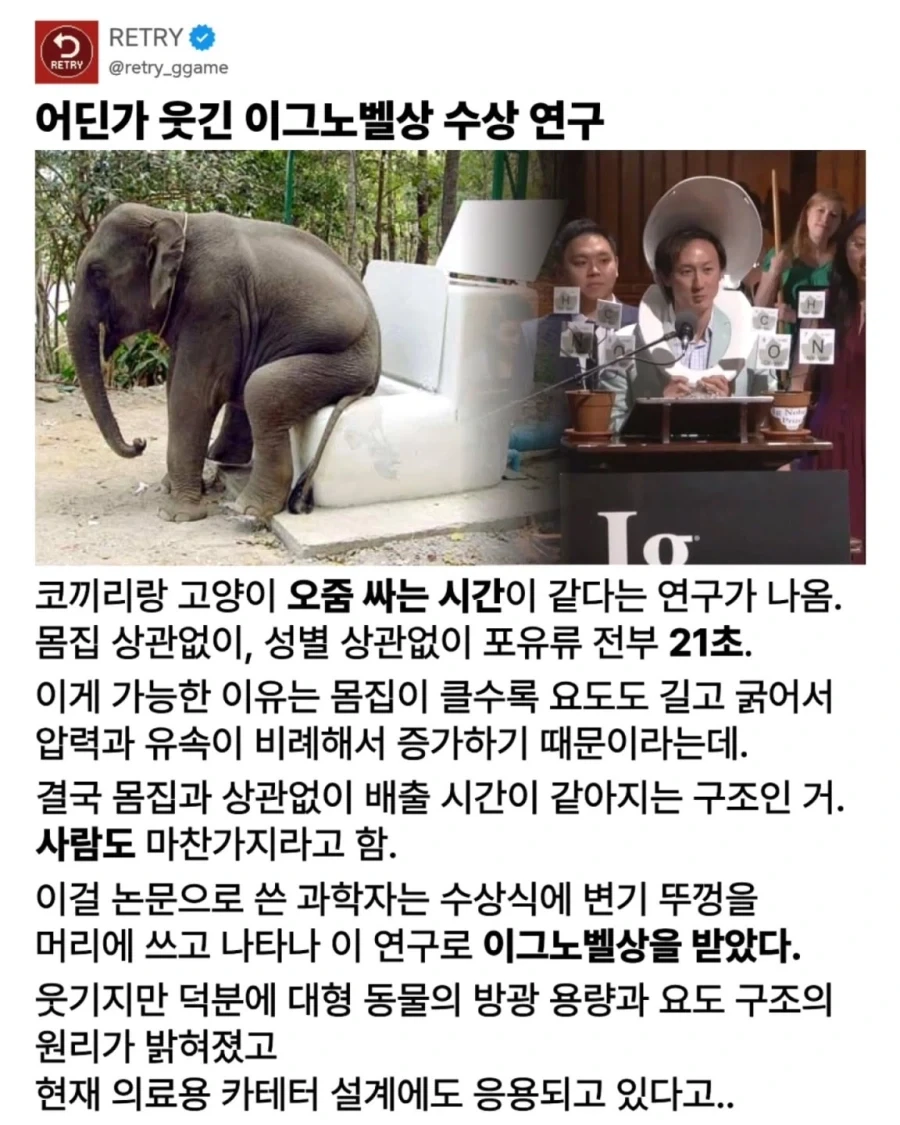 젊은세대 문화를 배우게 된 영포티 대표 이미지