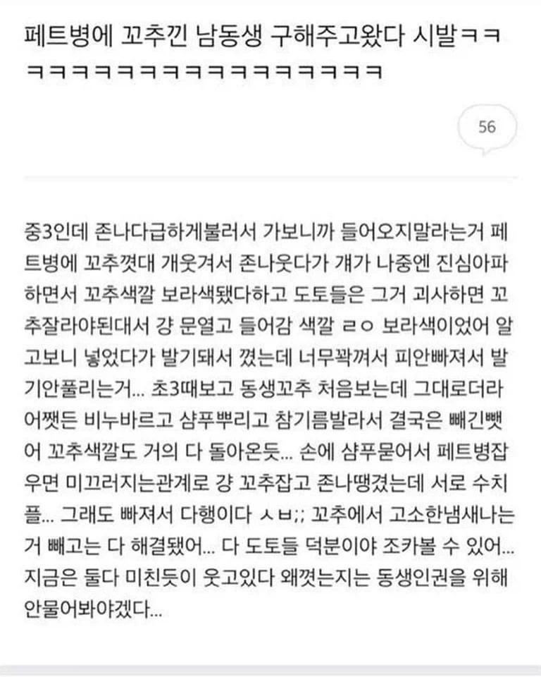 엘비스 프레슬리가 사랑했다는 샌드위치 이미지 10