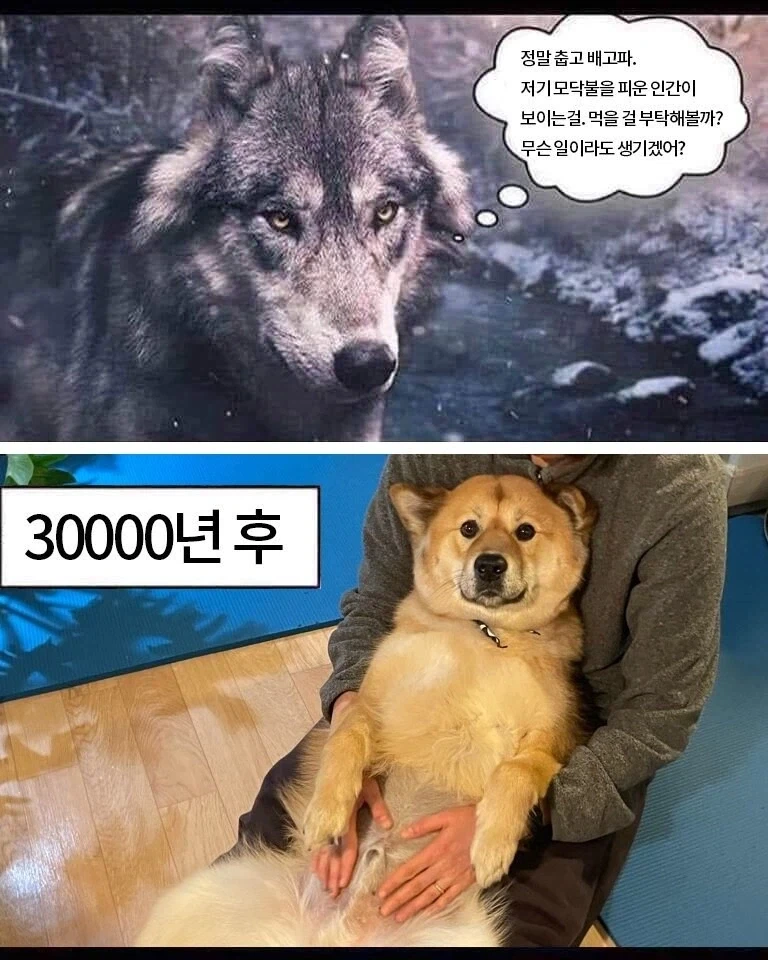 처녀만 사랑하는 말이 있다면 이미지 7