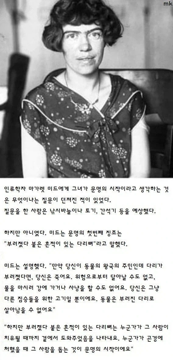 반지의제왕)간달프가SSR급 말 얻는 과정. 대표 이미지