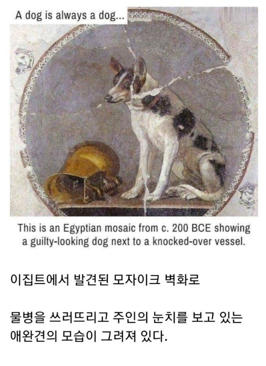 도라에몽)진구야 네토라레에서 여자를 소중하게 대하는 건 사도야 이미지 2