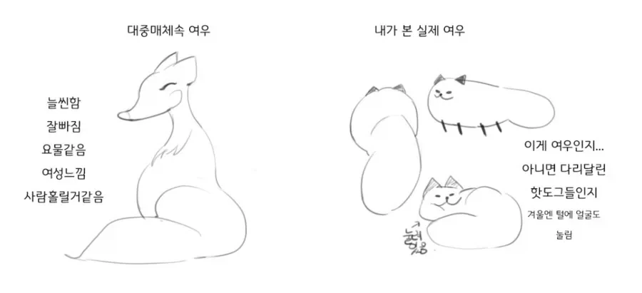 "동인지인데 좇목 카테고리가 있다고?" 이미지 2