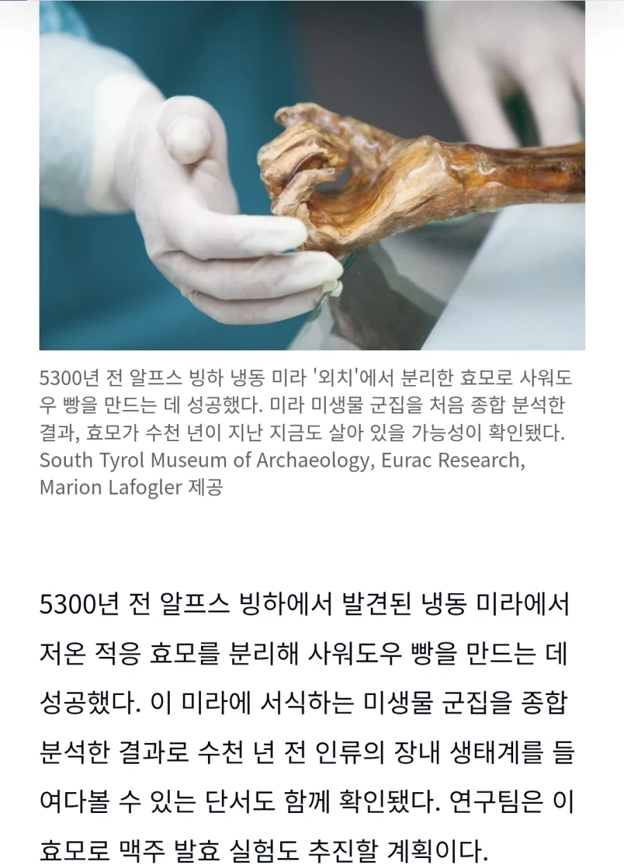 나루토 단점이 매우커서 활약을 못하는 술법 이미지 11