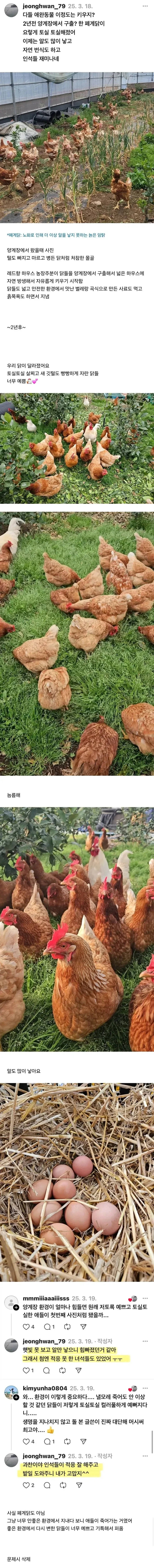 나루토 단점이 매우커서 활약을 못하는 술법 이미지 3