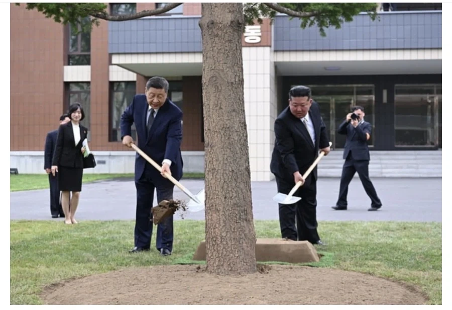 "진구야! 작가를 꼬박꼬박 썻엇잖아....어떻게 된거야" 이미지 7