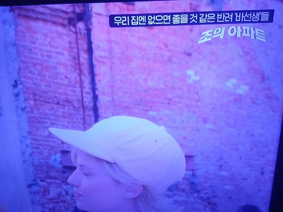 "진구야! 작가를 꼬박꼬박 썻엇잖아....어떻게 된거야" 이미지 3