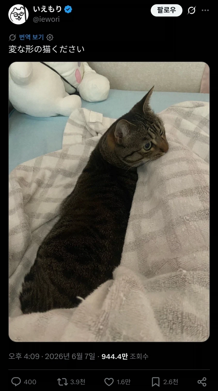 진구야 최종화 전 까진 분위기 좋았잖아 이미지 3