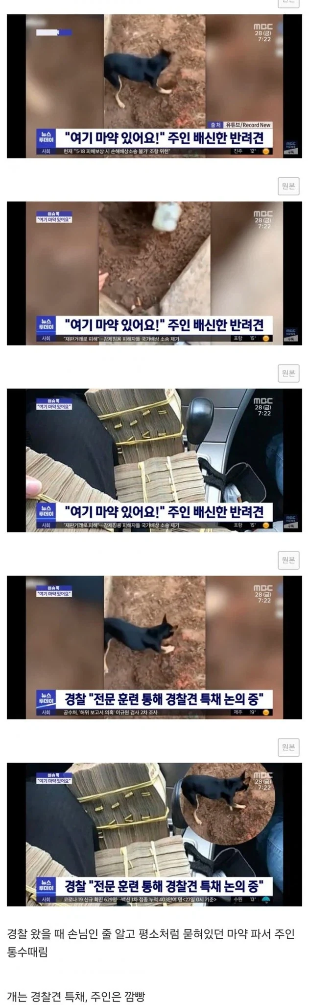 흔한 곱버스 무빙... jpg 이미지 4