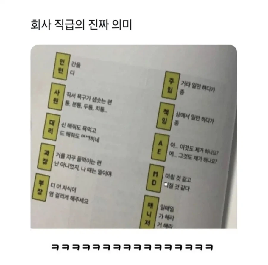 영국 괴식이라는 평 듣는 장어젤리특징 이미지 6