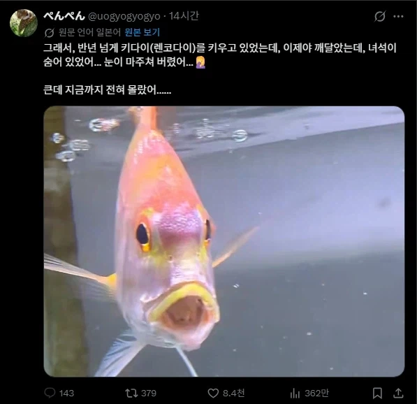 “진구야 대체 어떤 여자들이 잠자리에서 이런 말을 한다는 거야!” 이미지 2