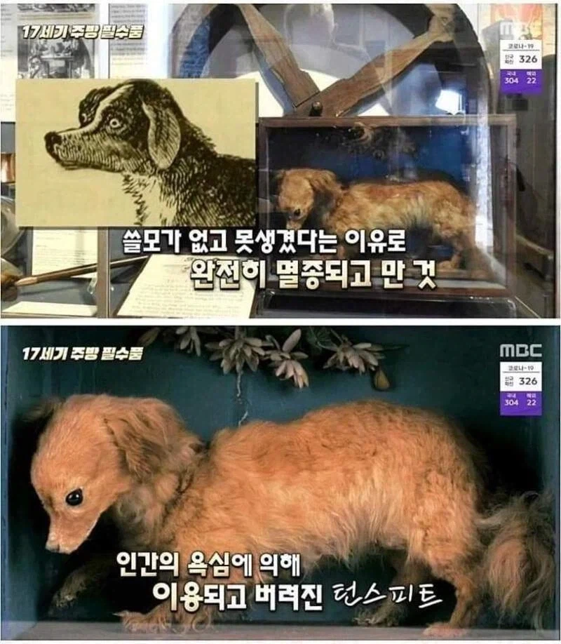길드에 오래된 문헌이 없는 이유.jpg 이미지 3