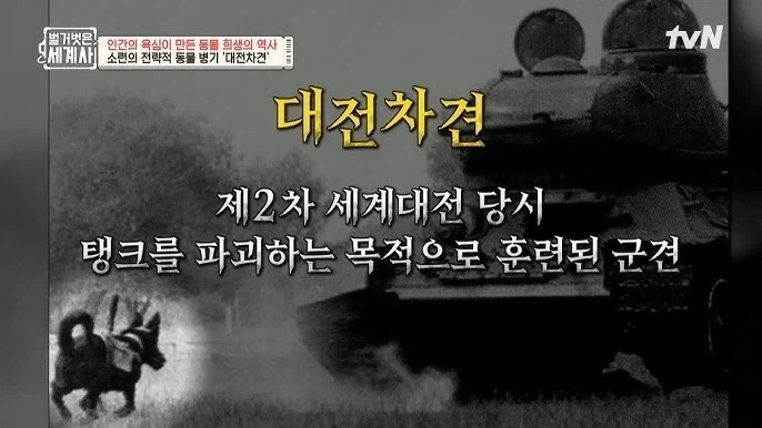 만약 도로롱이 실제로 존재했었다면?_3.webp
