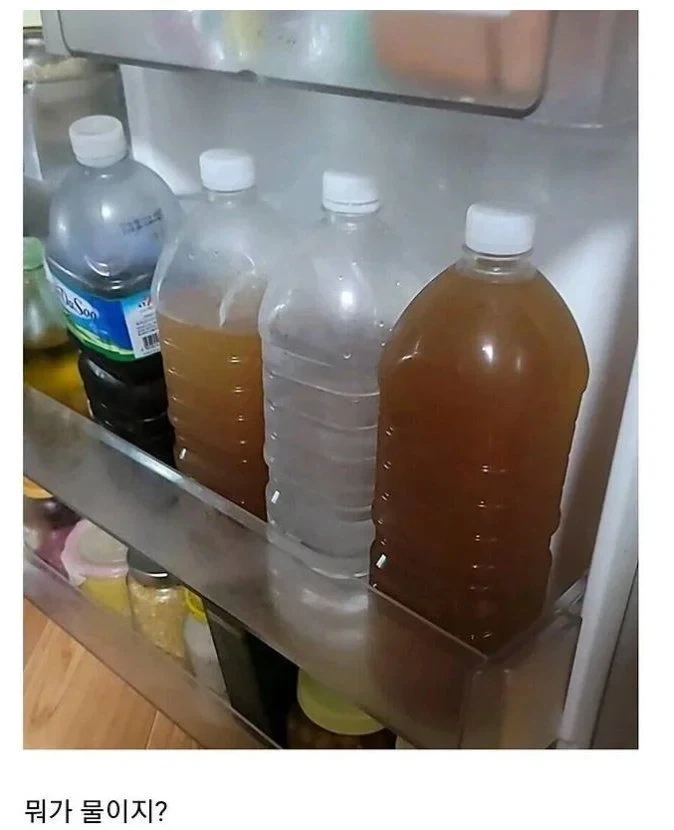 도발에 재능이 있는 주인공 대표 이미지