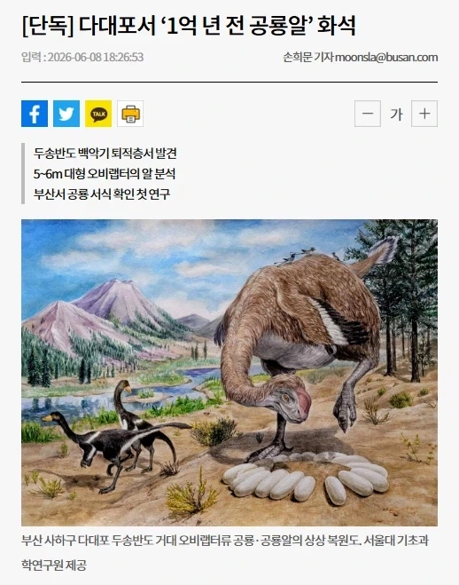 주식) 난 기업가치가 건재하므로 코스피가 다시 오를건 예상했어 대표 이미지