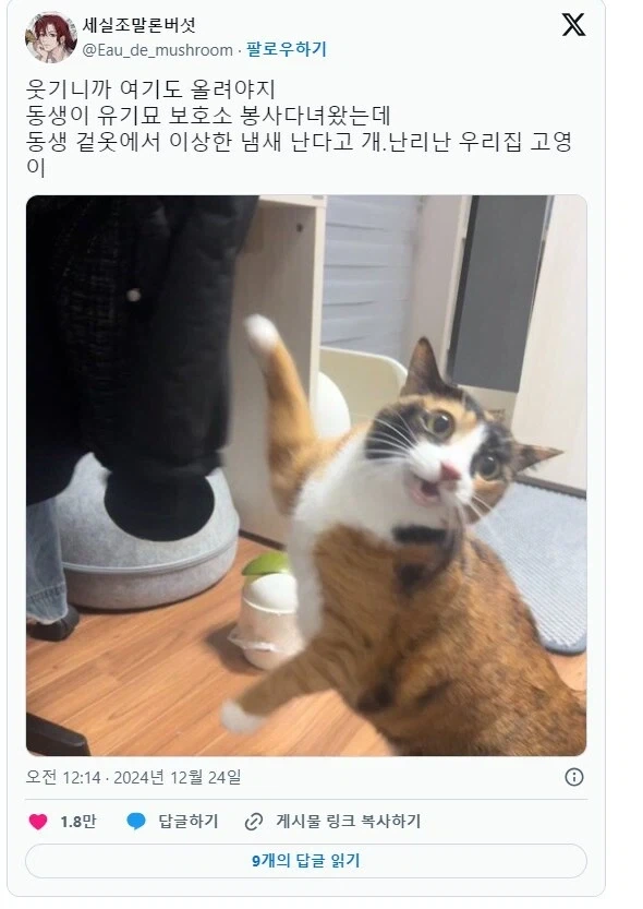 묻겠다. 그대가 나의 마스터인가 대표 이미지