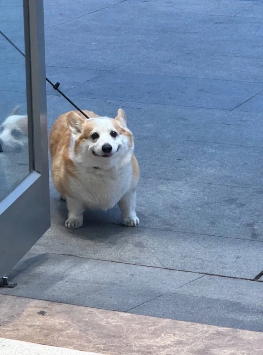 조커가 행복한 세계선.jpg 이미지 3