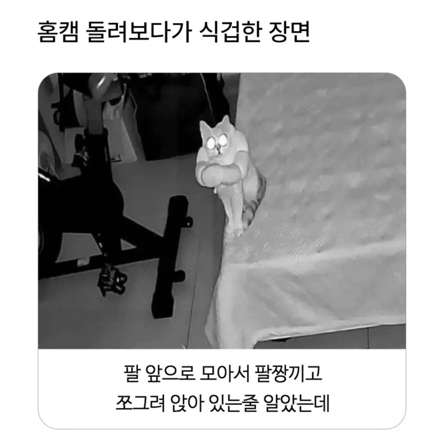 조커가 행복한 세계선.jpg 대표 이미지