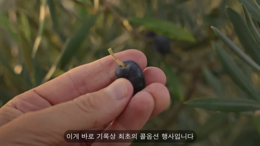인류 최초의 옵션 거래 기록_11.webp