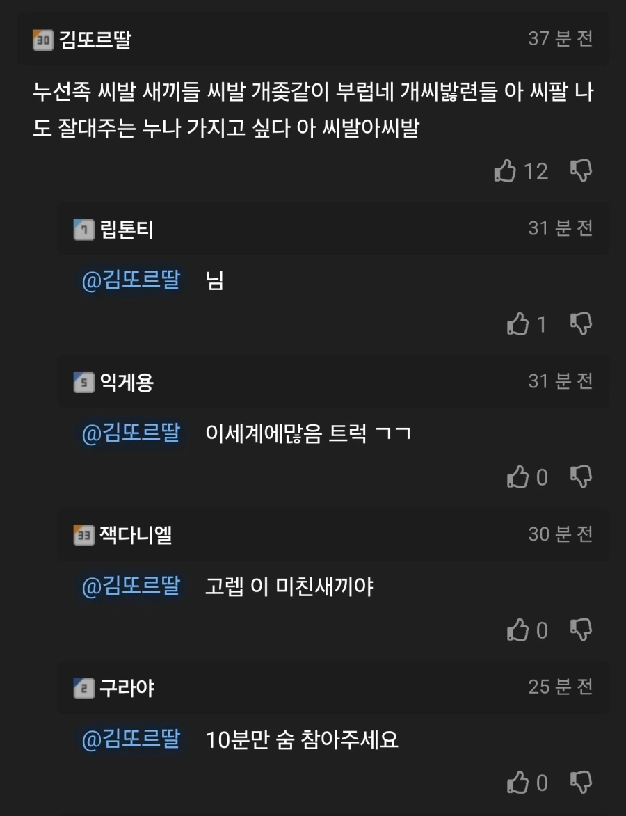 친누나한테 디시계정 들킨 남동생.jpg_4.webp