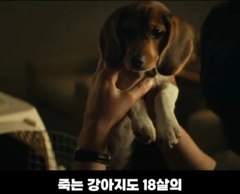 처음에 노인 배우 캐스팅을 고려했던 영화.jpg_14.webp