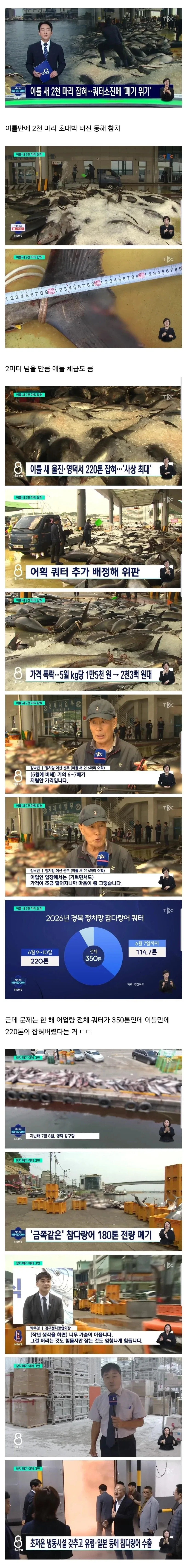 뼈산책을 하다가 깨달은것 이미지 6