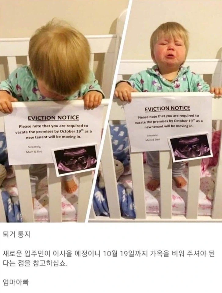 주말 내내 미화된 캐릭터.jpg 대표 이미지