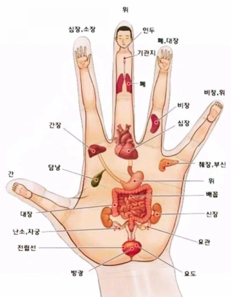짱구) 사실 짱구네가 신혼부부네 욕할 처지가 안되는 이유 대표 이미지