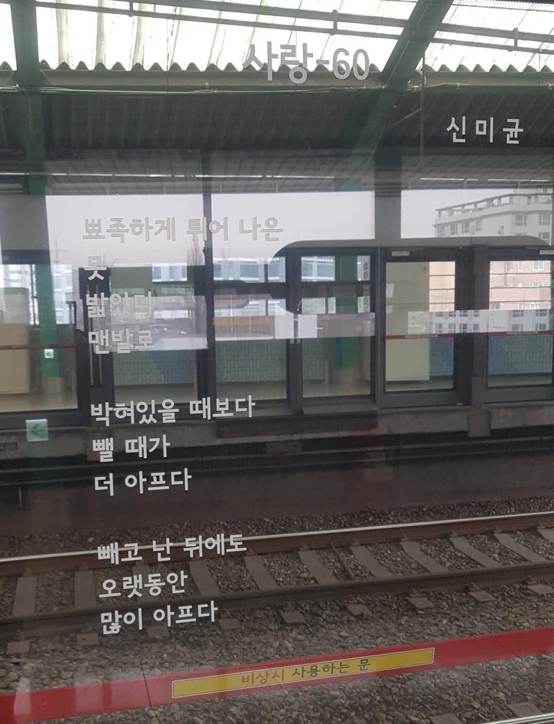 "박혀있을때보다 뺄때가 더 아프다." 이미지 2