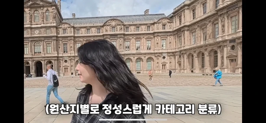 한국인: 루브르박물관에 궁금한게있어_20.webp