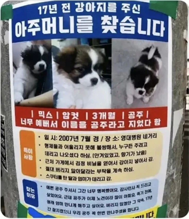 PX 젤?리 대참사 대표 이미지