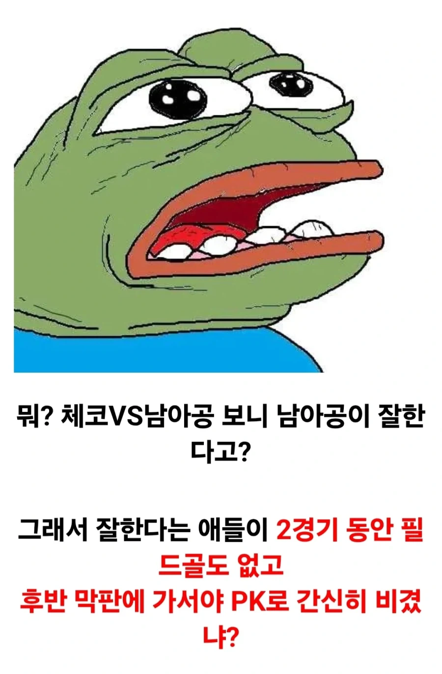 남아공 ㅈㄴ 못한다고 ㅋㅋㅋㅋㅋ_4.webp