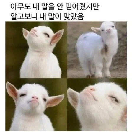 여름방학 후기 대표 이미지