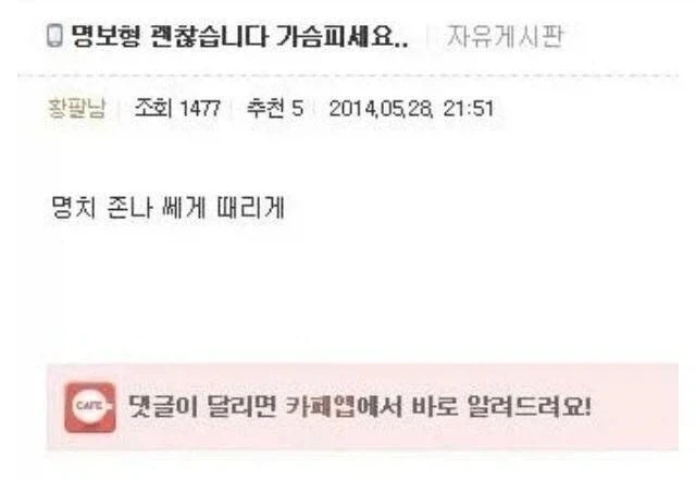 외출 했을때 집에있는 고양이 이미지 3