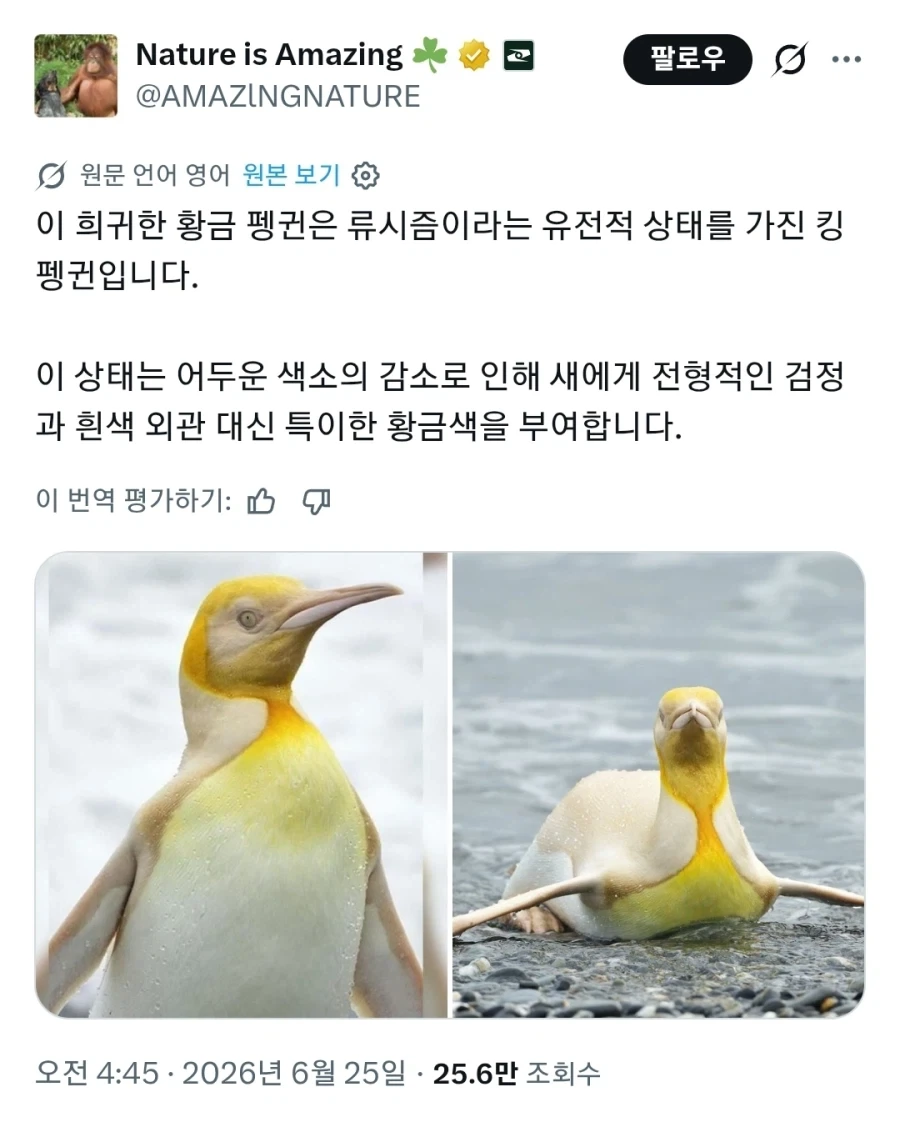 형이 마씨인데 동생이 마씨가 아닌게 말이 되나! 대표 이미지