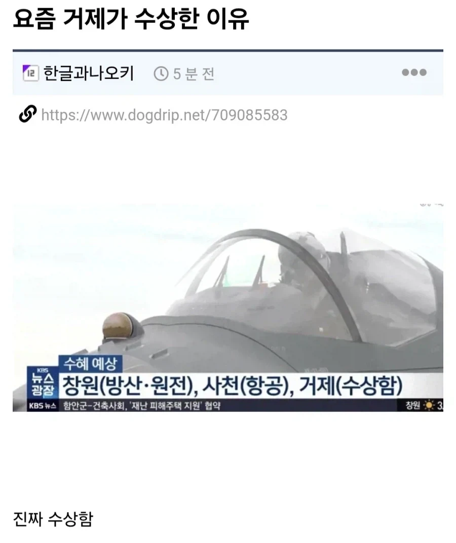 답답하면 니들이 뛰던가 대처법.jpg 이미지 2