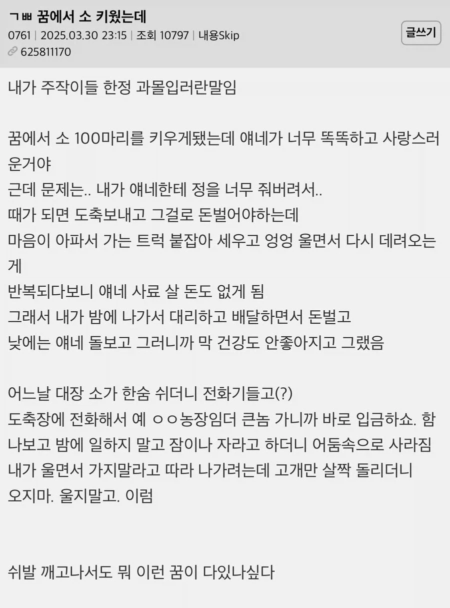 블)멍청 아카이브 이미지 3