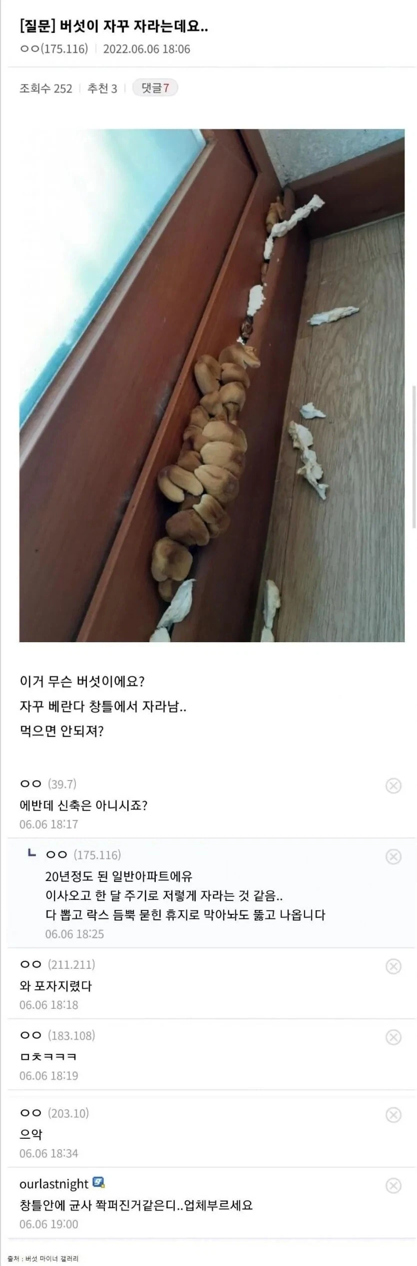 혈통빨 없는 흔한 마법사입니다 대표 이미지
