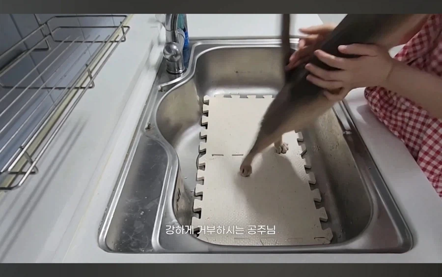 냥 : 아 맞다. 나 지금 삐졌지, 참_3.webp
