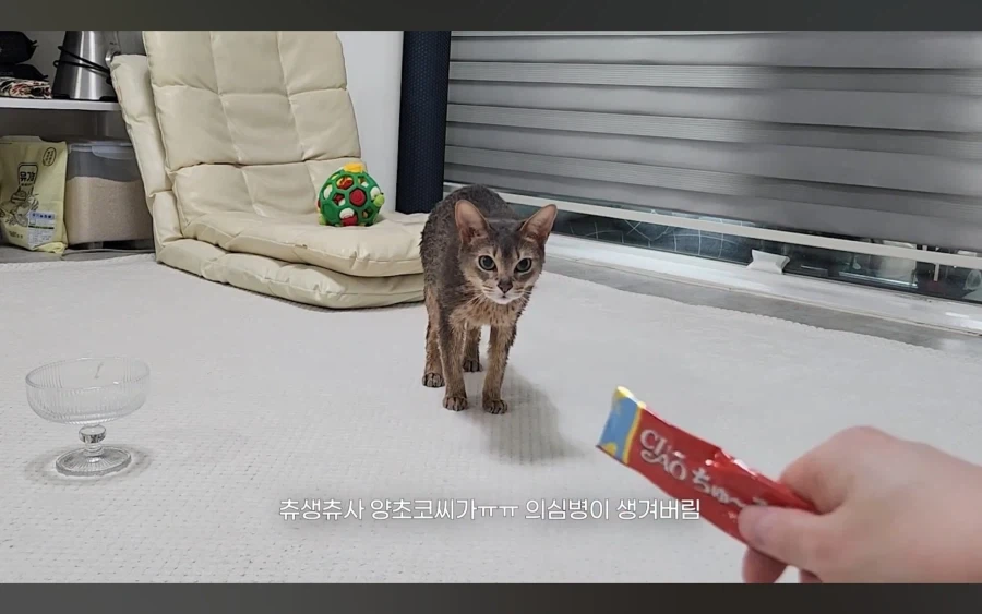 냥 : 아 맞다. 나 지금 삐졌지, 참_18.webp