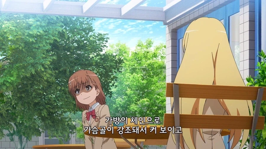 초전자포) 미사카가 식봉이 젖만 보면 지능이 떨어지는 이유_20.webp