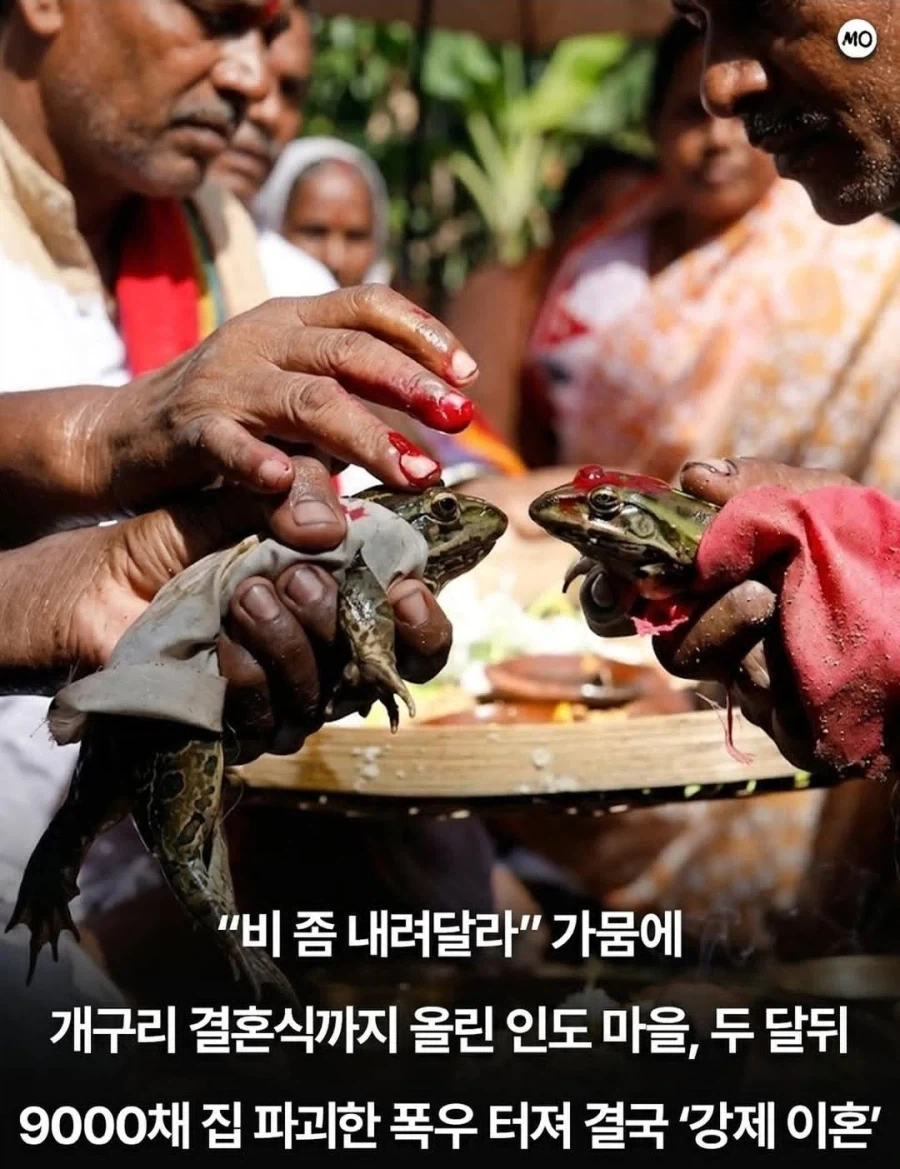 설빙 특이한 메뉴.jpg 대표 이미지