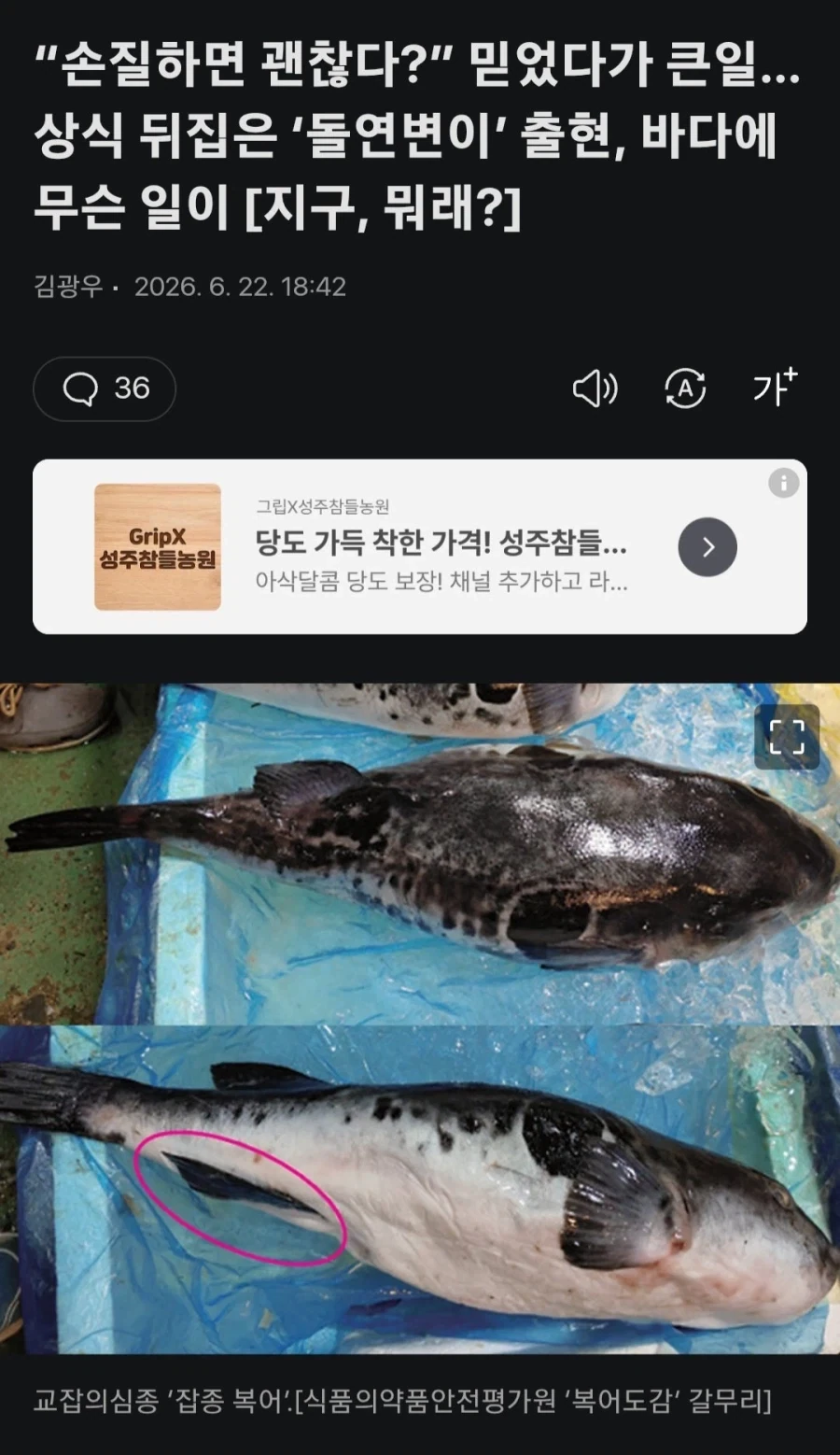 떡툰계의 타노스 대표 이미지