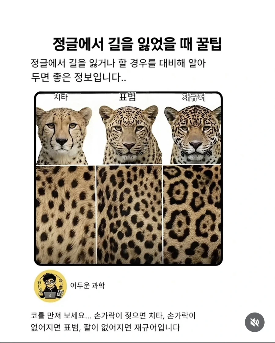 "코후크는 안돼 진구야" 이미지 3