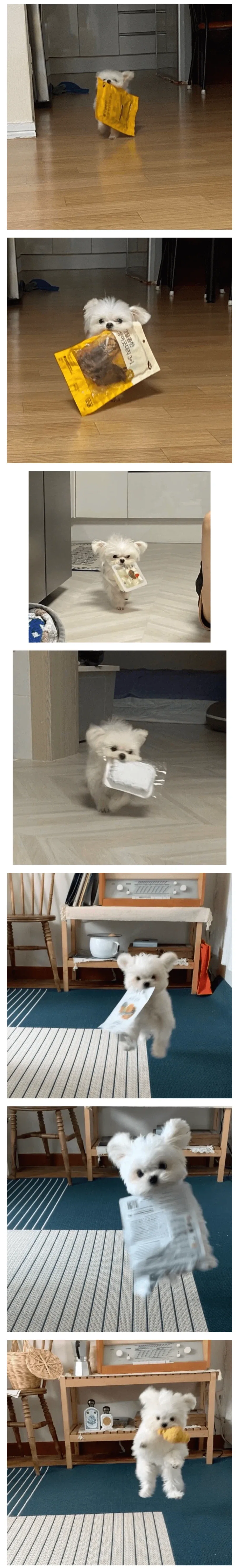 모솔이지만 연애고 뭐고 관심 없음 이미지 2