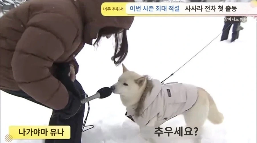 일본 : 한국 뉴스에서 토끼 인터뷰를 했다고?_2.webp