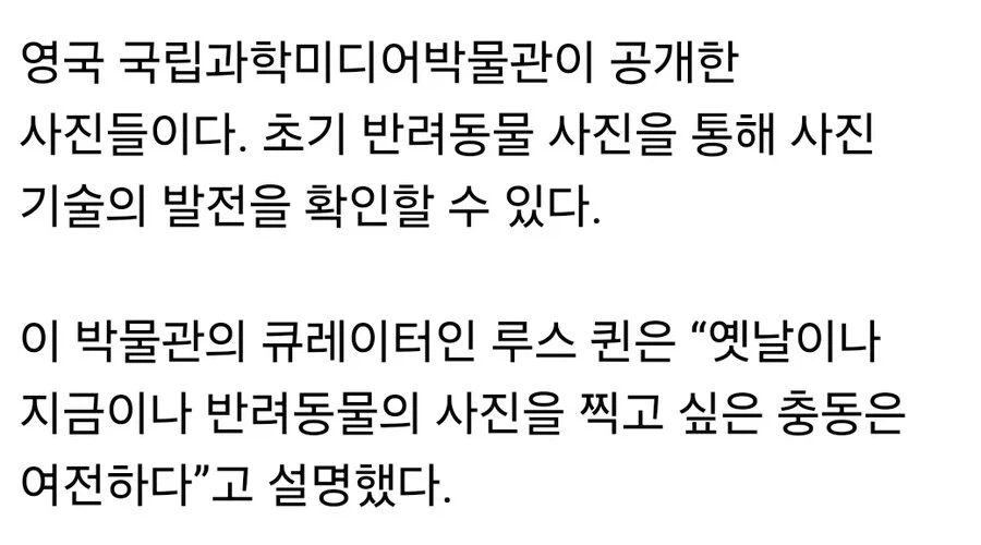"사진기"가 처음 등장한 이후 대중들이 찍고 싶어했던 사진들.JPG 이미지 4