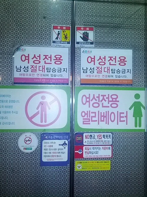 의외로 드래곤의 심장보다 훨씬 좋은거 대표 이미지