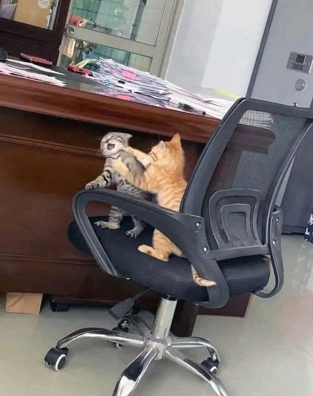 바다 특 대표 이미지